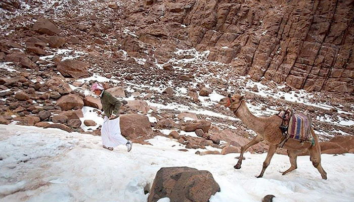 Tour Gallery Image 6